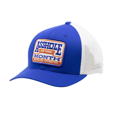 SNAPBACK CURVED ASSHOLE - BLUE