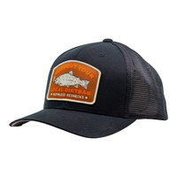 SNAPBACK CURVED SMOKED - BLK